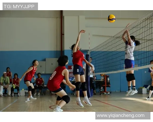 深圳排球队勇闯洲际杯的辉煌之路与奋斗精神的深度解析